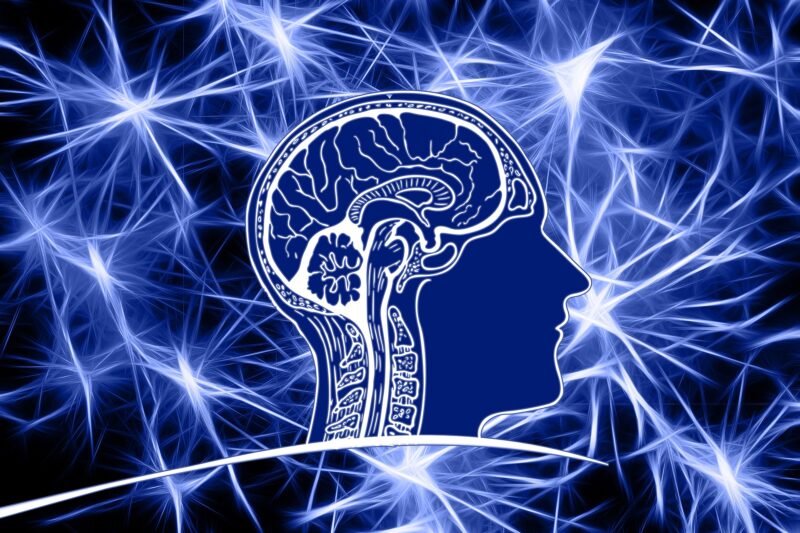 Mente Creativa vs. Mente Crítica: Encontrando el Equilibrio Perfecto