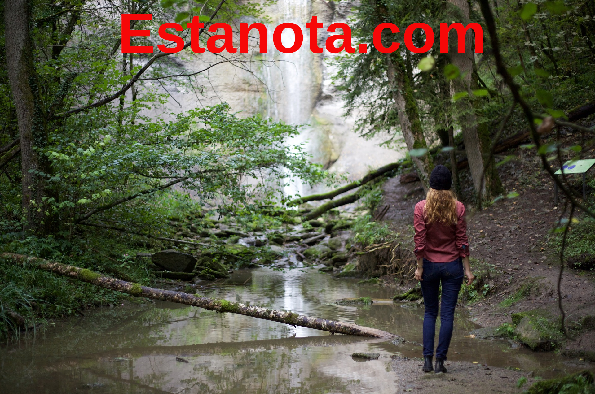 Fluye como el agua: fresca, ligera y llena de vida