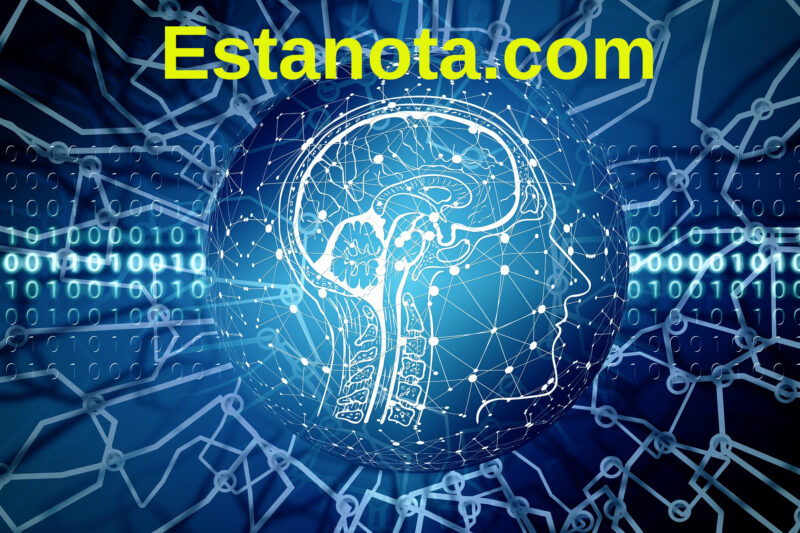 Tu mente es poder puro: ¡domínala y crea tu realidad!