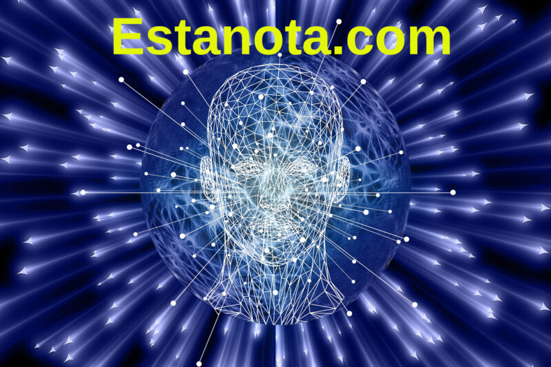 Programa tu mente para el éxito y verás magia ocurrir