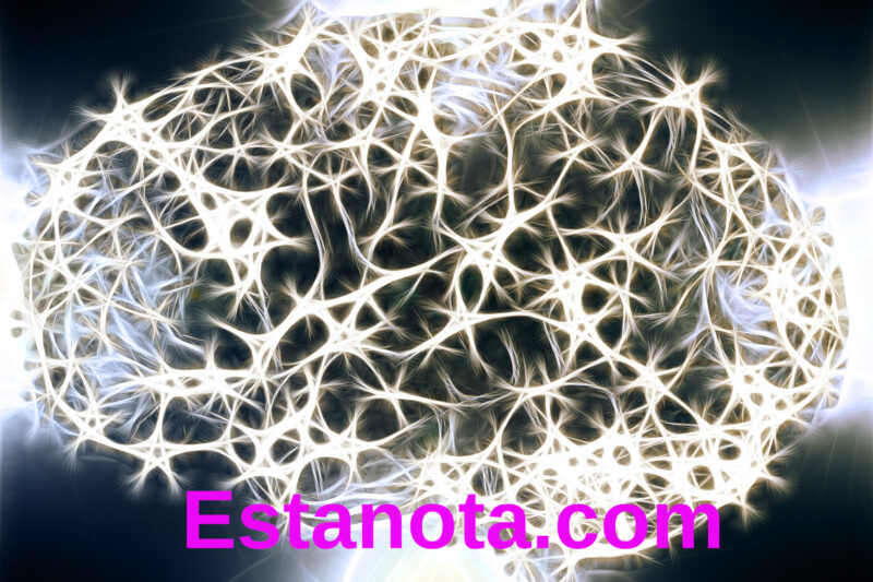 Lo que tu mente puede concebir, lo puedes lograr