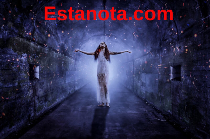 Las cicatrices del esfuerzo son medallas de éxito futuro