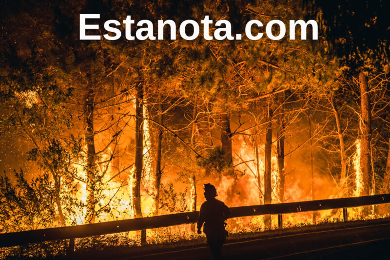 El fracaso es solo un capítulo, no toda tu historia