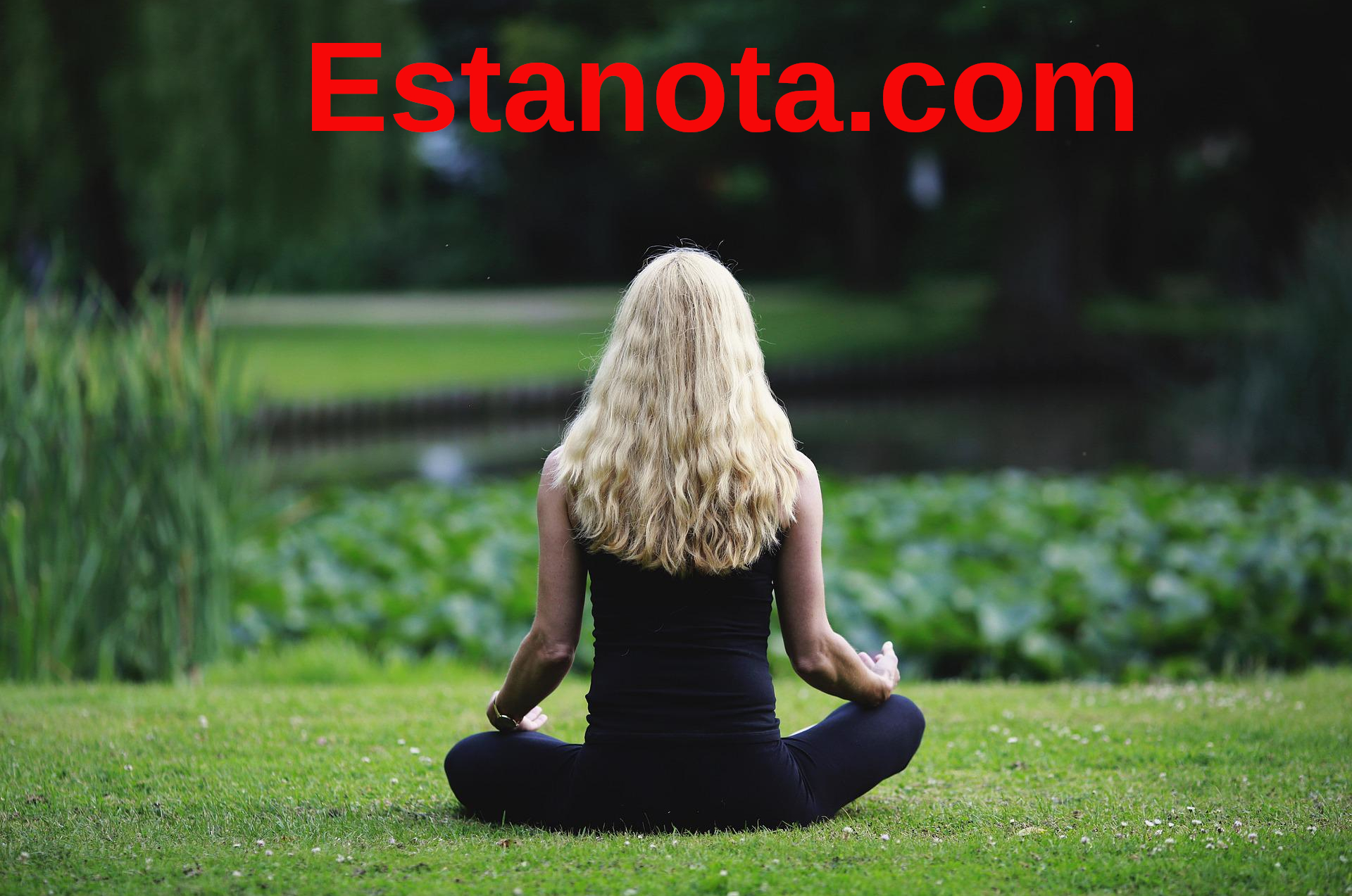 Ama tu corazón: él late por ti, cuídalo con gratitud
